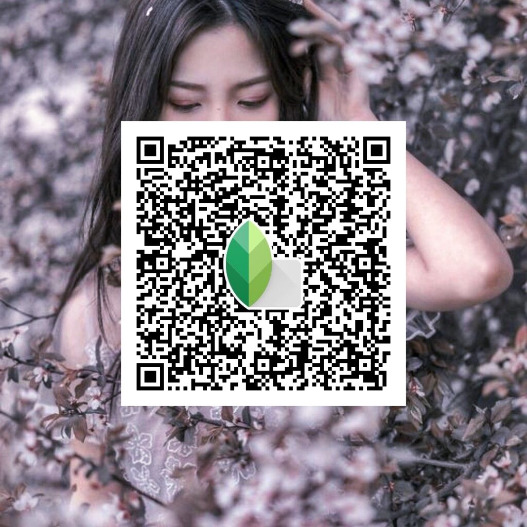 snapseed qr codes