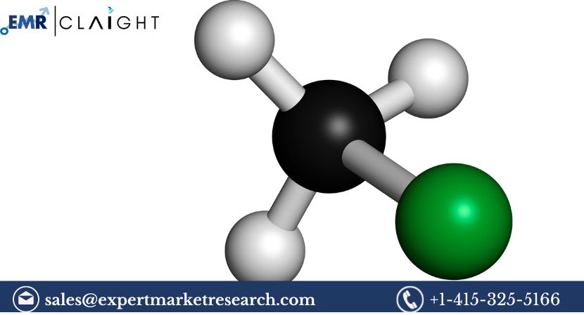 Methyl Mercaptan Market