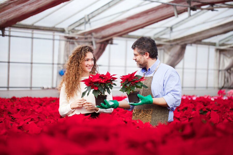 valentine's day flowers dubai