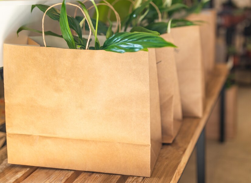 Custom Kraft paper bags