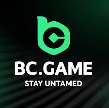 Discover the Excitement of BC.Game Crypto Casino