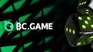 Exploring BC.Game Casino The New Frontier of Online Gaming in Romania
